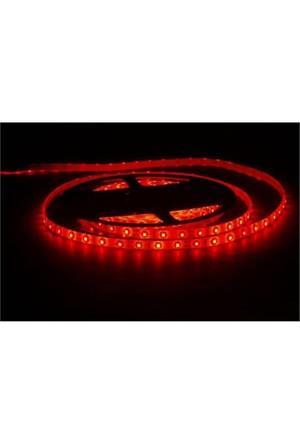 ATLNTİS KIRMIZI TEK ÇİPLİ DIŞ MEKAN ŞERİT LED